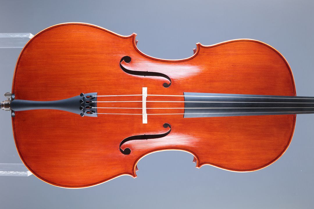 Klotz Julia - Mittenwald Anno 2026 - Palmkatzl - C-436